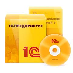 Дополнительные лицензии 1С