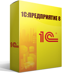 Пользовательские лицензии 1С